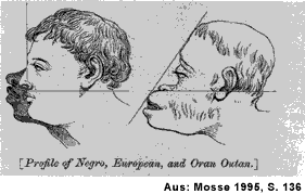 Rassismus_Mosse Rassismus_Mosse